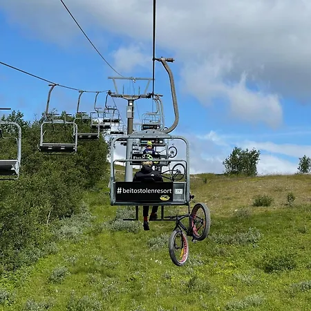 Ideal For Families And Groups Near Sentrum Lejlighed Beitostolen
